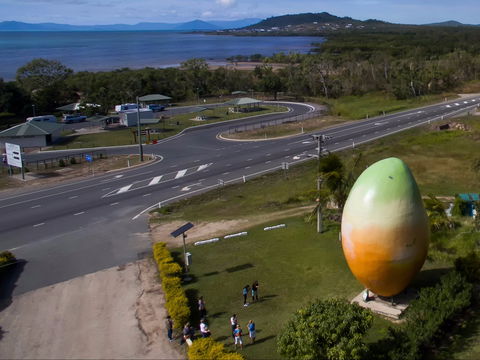 Big Mango - Tourism Caloundra 1