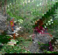 Binna Burra Lamington National Park - Tourism Caloundra