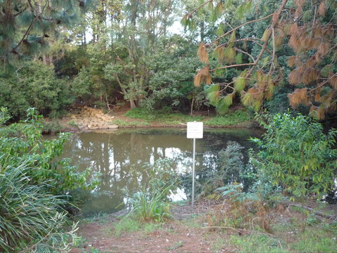 Birdwing Butterfly Walk - Tourism Caloundra 0