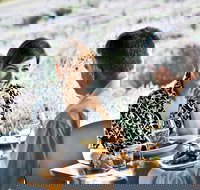 Boonah - Tourism Caloundra