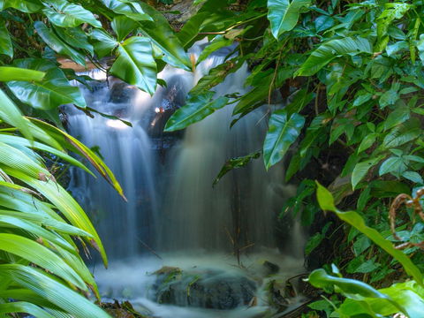 Brisbane Botanic Gardens Mount Coot-tha - Tourism Caloundra 1