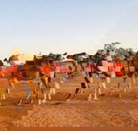 Broken Hill Camels - Tourism Caloundra