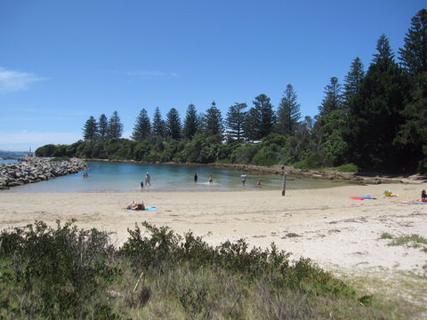 Bruce Steer Pool - Tourism Caloundra 1