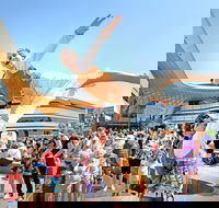 Bunjil Place - Tourism Caloundra