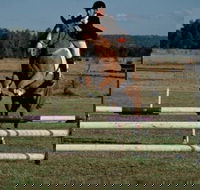 Camden Bicentennial Equestrian Park - Tourism Caloundra