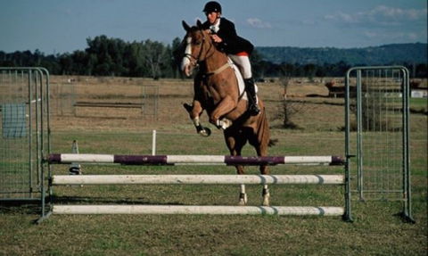 Camden Bicentennial Equestrian Park - Tourism Caloundra 0