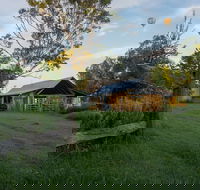 Camden - Tourism Caloundra