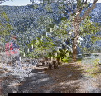 Caves circuit Lamington National Park - Tourism Caloundra