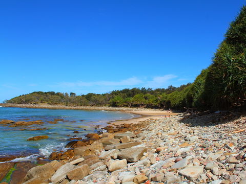 Convent Beach - Tourism Caloundra 2