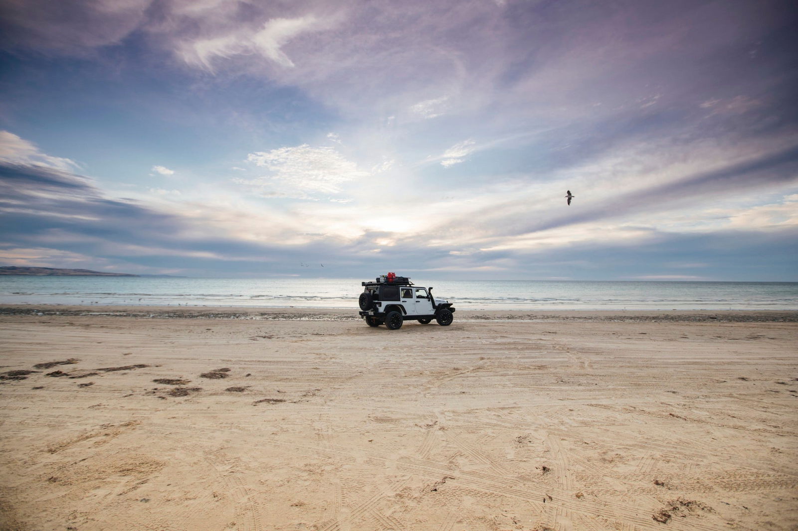 Coorong SA Tourism Caloundra