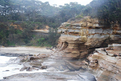 Cookies Beach Picnic Area - South Durras - Tourism Caloundra 2