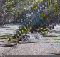 Coolah Tops National Park - Tourism Caloundra