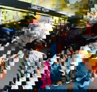 Crystal Kingdom - Tourism Caloundra