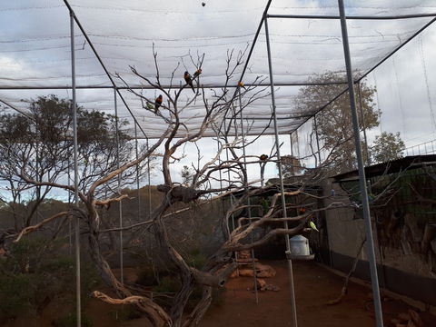 Eyre Reptile & Wildlife Park - Tourism Caloundra 2