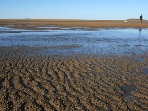 Far Beach - Tourism Caloundra 1