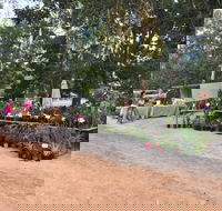 Fred's Pass Rural Market - Tourism Caloundra