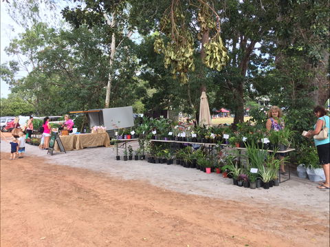 Fred's Pass Rural Market - Tourism Caloundra 0