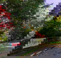 George Tindale Memorial Gardens - Tourism Caloundra