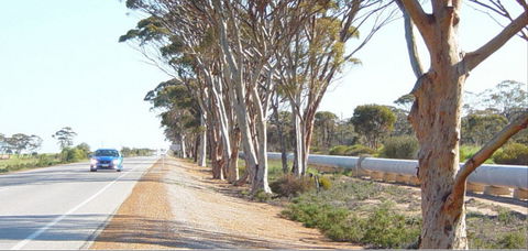 Golden Pipeline Heritage Trail - Tourism Caloundra 0
