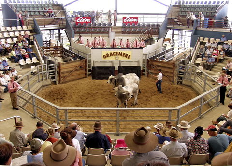 Gracemere Exhibition Complex - Tourism Caloundra 1