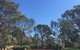 Grenfell Endemic Garden - thumb 0