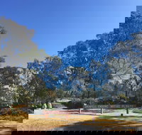 Grenfell Endemic Garden - Tourism Caloundra