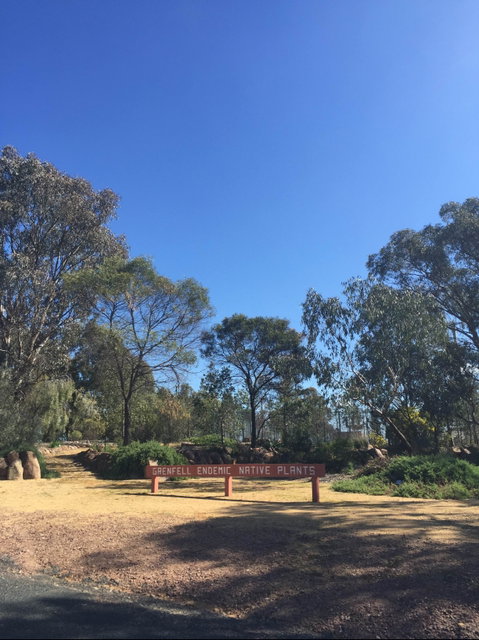 Grenfell Endemic Garden - Tourism Caloundra 0