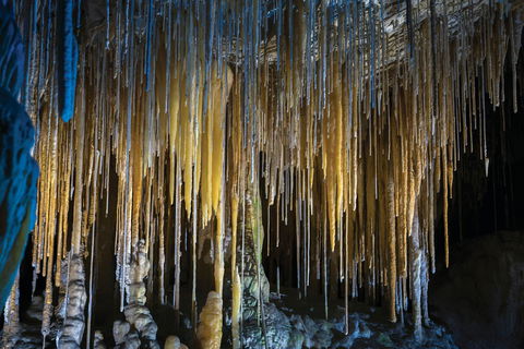 Hastings Caves And Thermal Springs - Tourism Caloundra 0