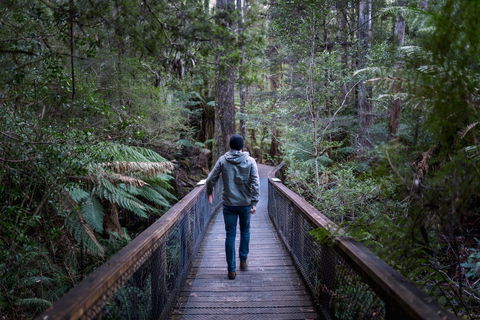 Hastings Caves And Thermal Springs - Tourism Caloundra 1