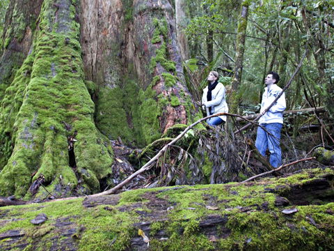 Hastings Caves And Thermal Springs - Tourism Caloundra 2