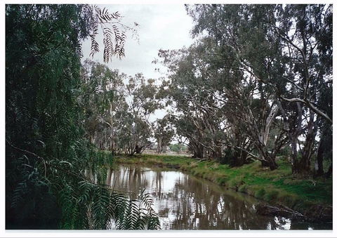 Henty Government Dam Nature Reserve - Tourism Caloundra 0