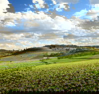 Hodgson Vale - Tourism Caloundra