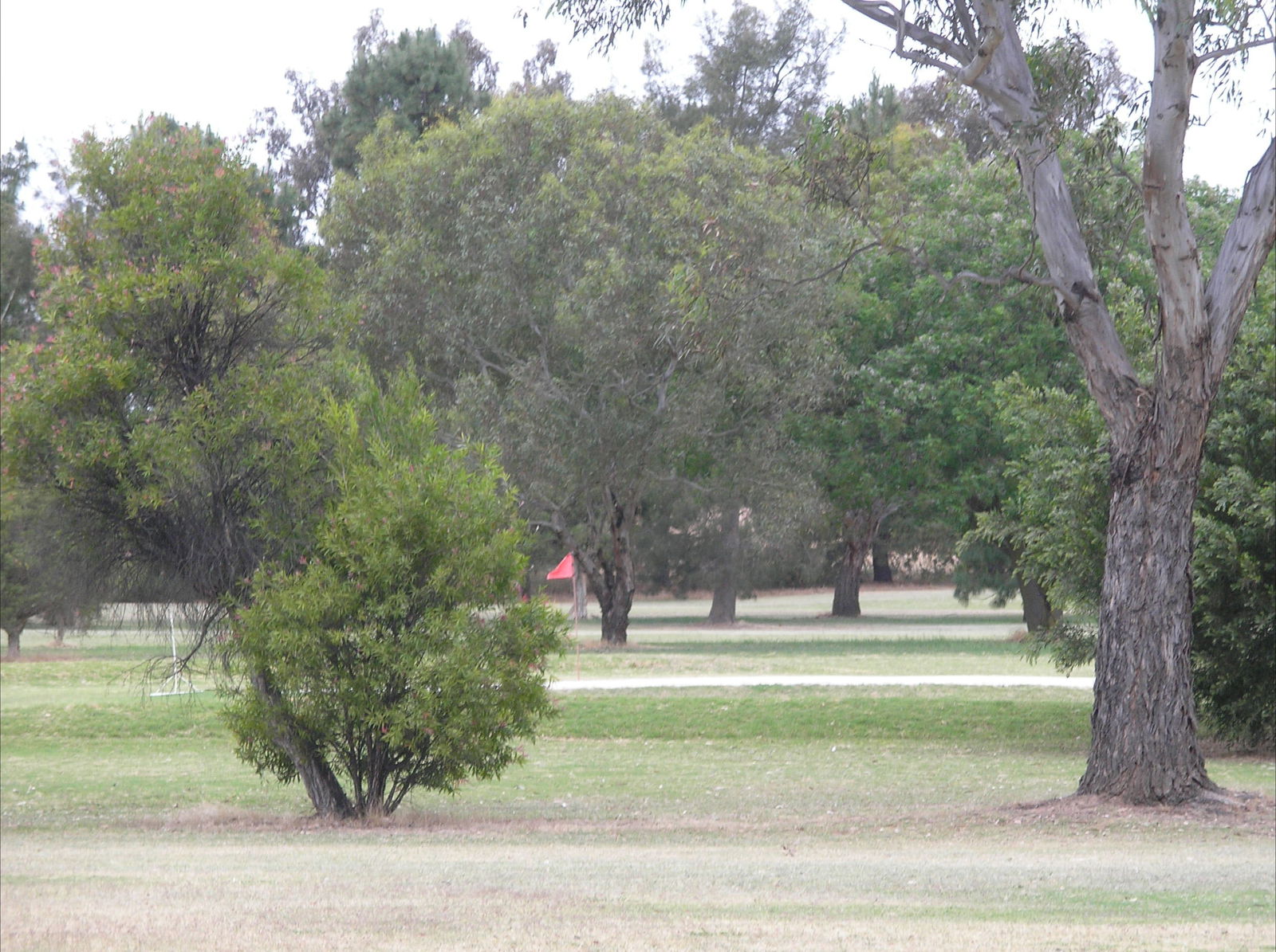 Bowna NSW Tourism Caloundra