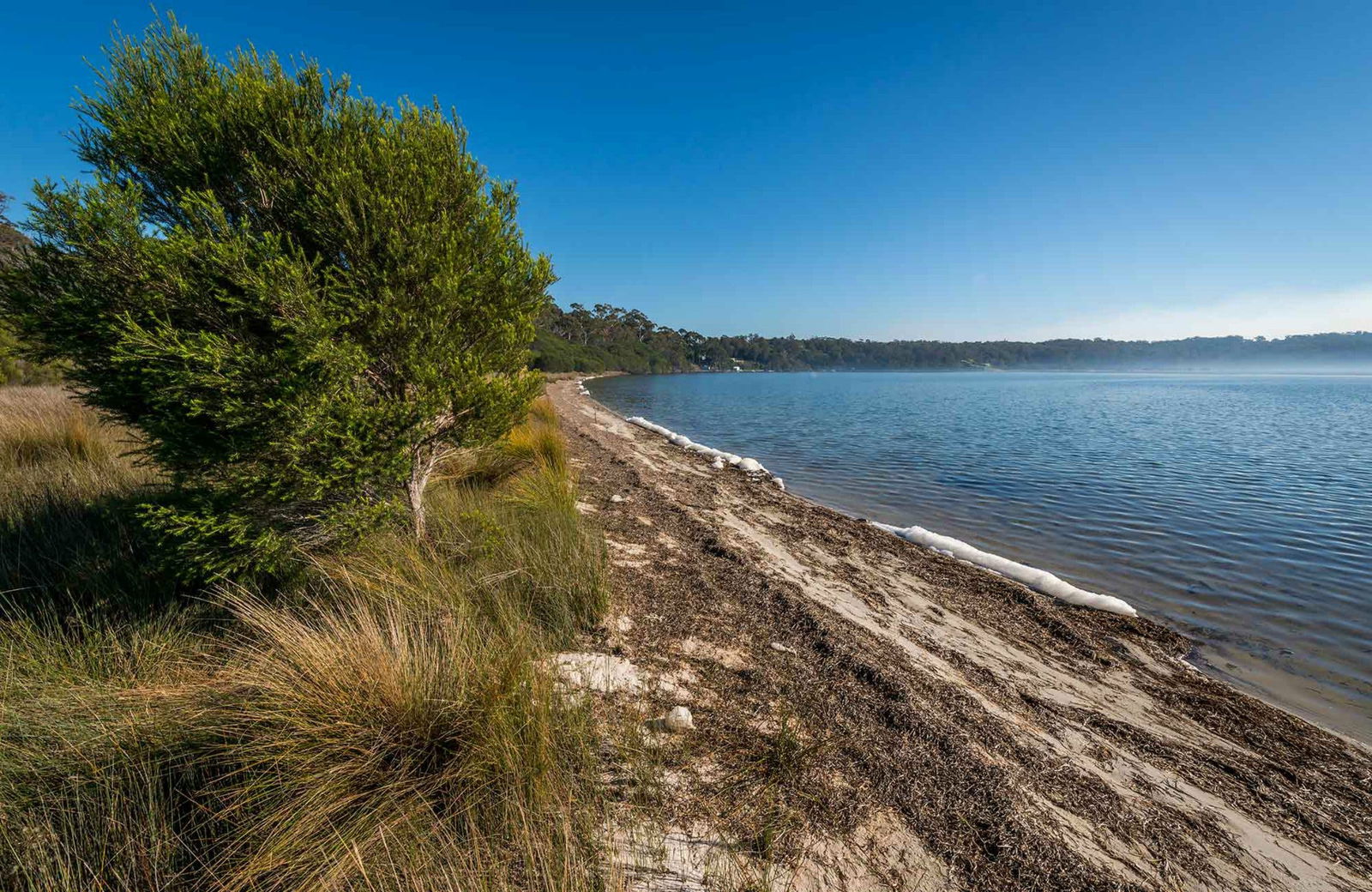 Wonboyn NSW Tourism Caloundra