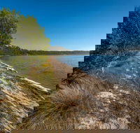Jewfish Walk - Tourism Caloundra