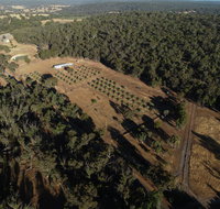 Julimar Date Garden - Tourism Caloundra