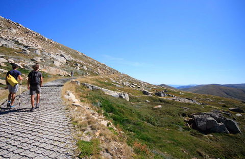 Kosciuszko Walk - Thredbo To Mount Kosciuszko - Tourism Caloundra 0