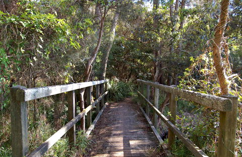 Lake Macquarie State Conservation Area - Tourism Caloundra 1