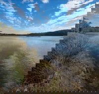Lake Innes Nature Reserve - Tourism Caloundra