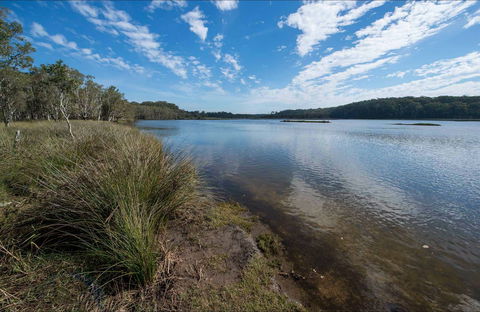 Lake Innes Nature Reserve - Tourism Caloundra 0