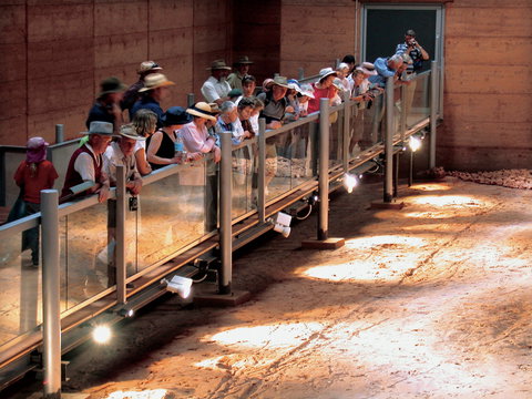 Lark Quarry Conservation Park - Tourism Caloundra 0