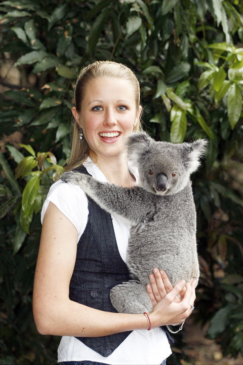 Lone Pine Koala Sanctuary - Tourism Caloundra 1
