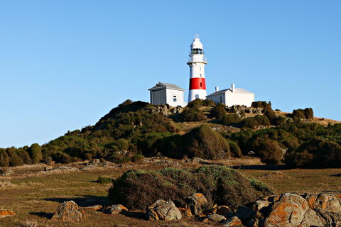 Low Head Foghorn - Tourism Caloundra 1