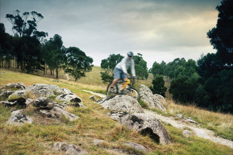 Lysterfield Park - Tourism Caloundra 1