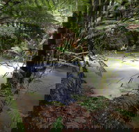 Marriotts Falls and Junee Caves - Tourism Caloundra