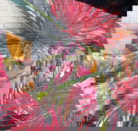 Mokoan Rest Stop Northbound - Tourism Caloundra