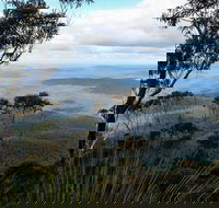 Mount Imlay National Park - Tourism Caloundra