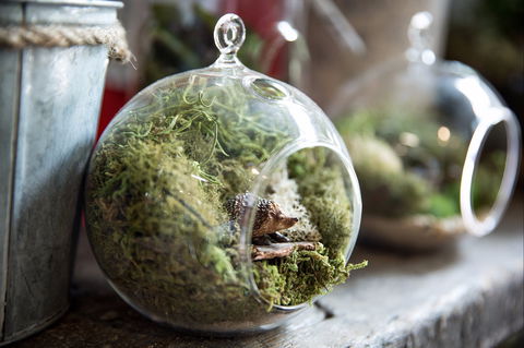 Moxom And Whitney - Tourism Caloundra 0