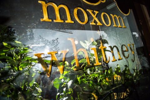 Moxom And Whitney - Tourism Caloundra 2