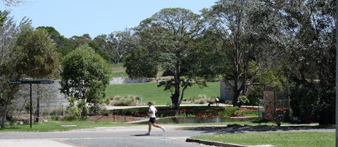 Mt Penang Gardens - Tourism Caloundra 1